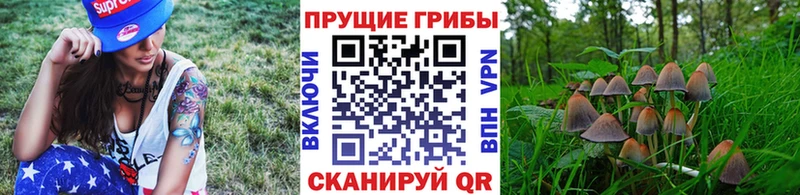 blacksprut рабочий сайт  Ачинск  Галлюциногенные грибы прущие грибы 